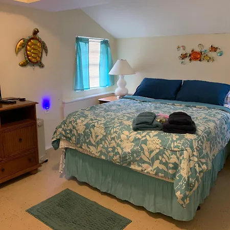 Sunshine Cozy Cottage Clearwater Beach Exterior foto