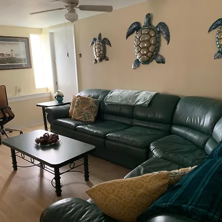 Sunshine Cozy Cottage Clearwater Beach Exterior foto